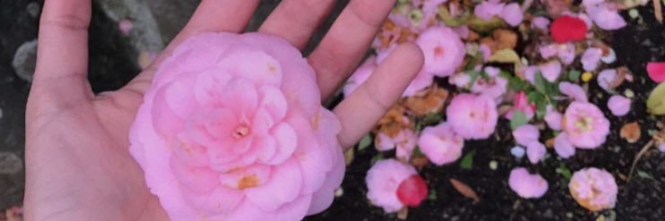 7ooR_tr's profile banner image