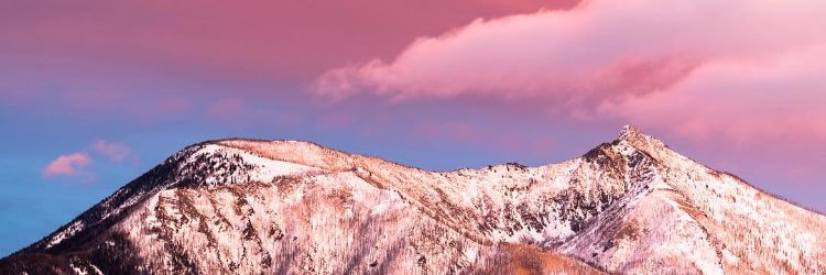 wyattsann's profile banner image