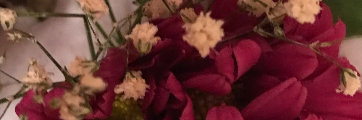 hanan854's profile banner image