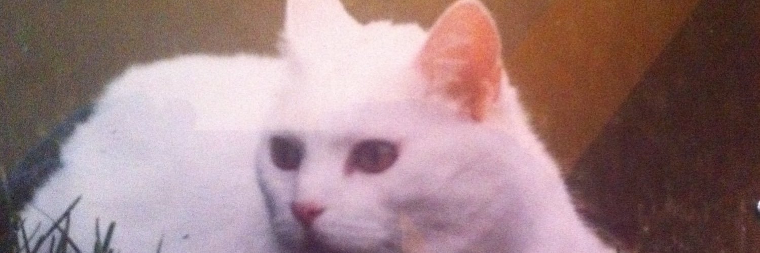 Astérix🎸🇳🇴🇧🇪 banner