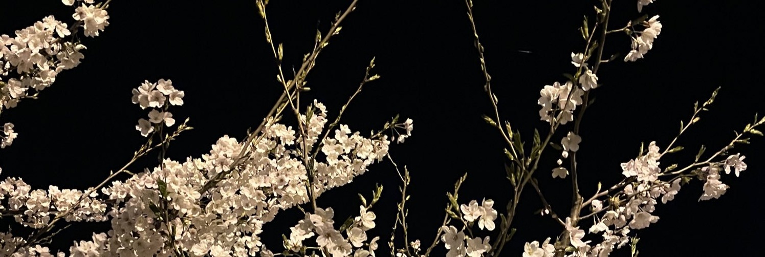 nothinghannah's profile banner image