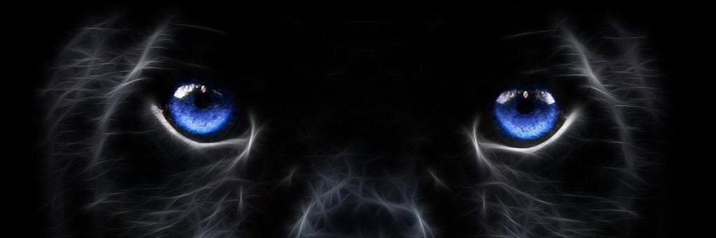 claudioocampo's profile banner image