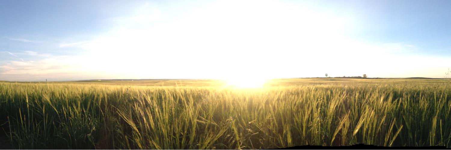ReannaErixon's profile banner image