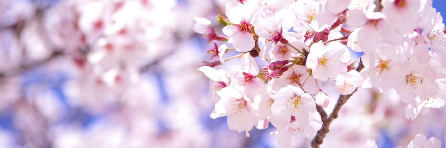chobi_live's profile banner image