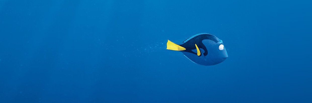 AnkyBLue's profile banner image