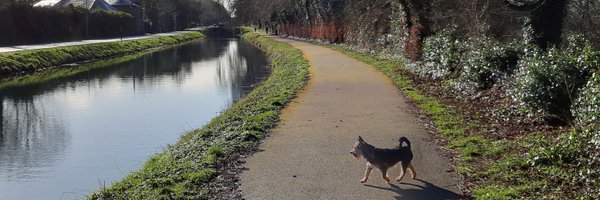 GiKeogh Profile Banner