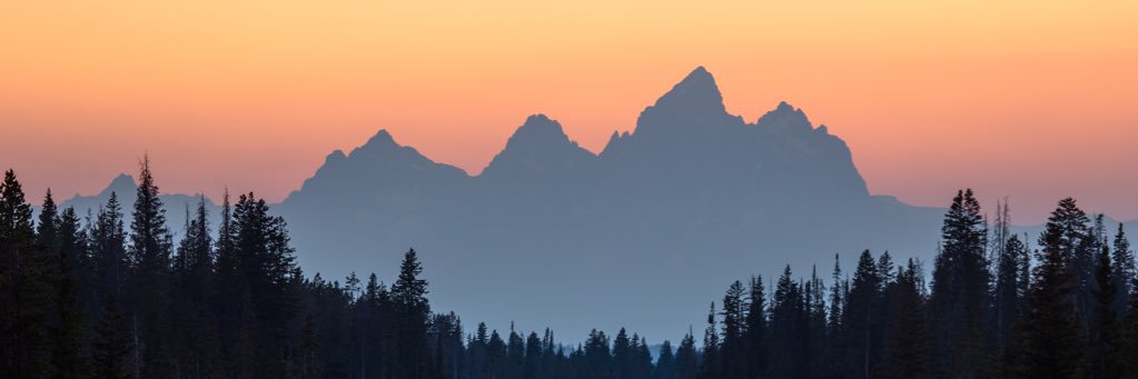 SmellyRandy's profile banner image