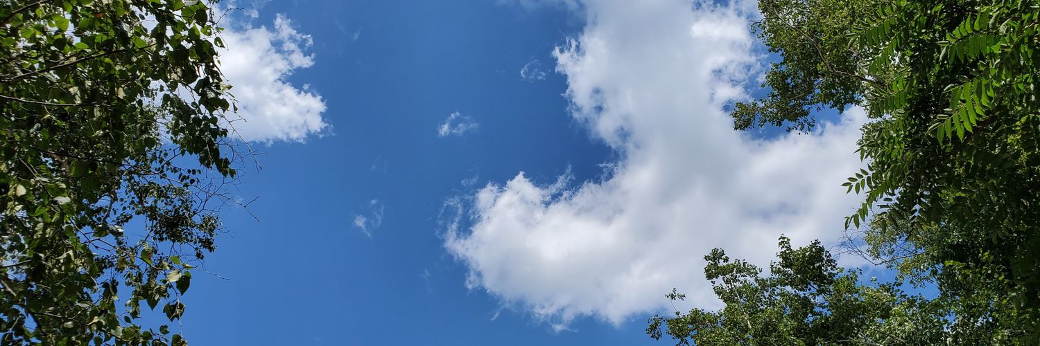 lynnafred's profile banner image