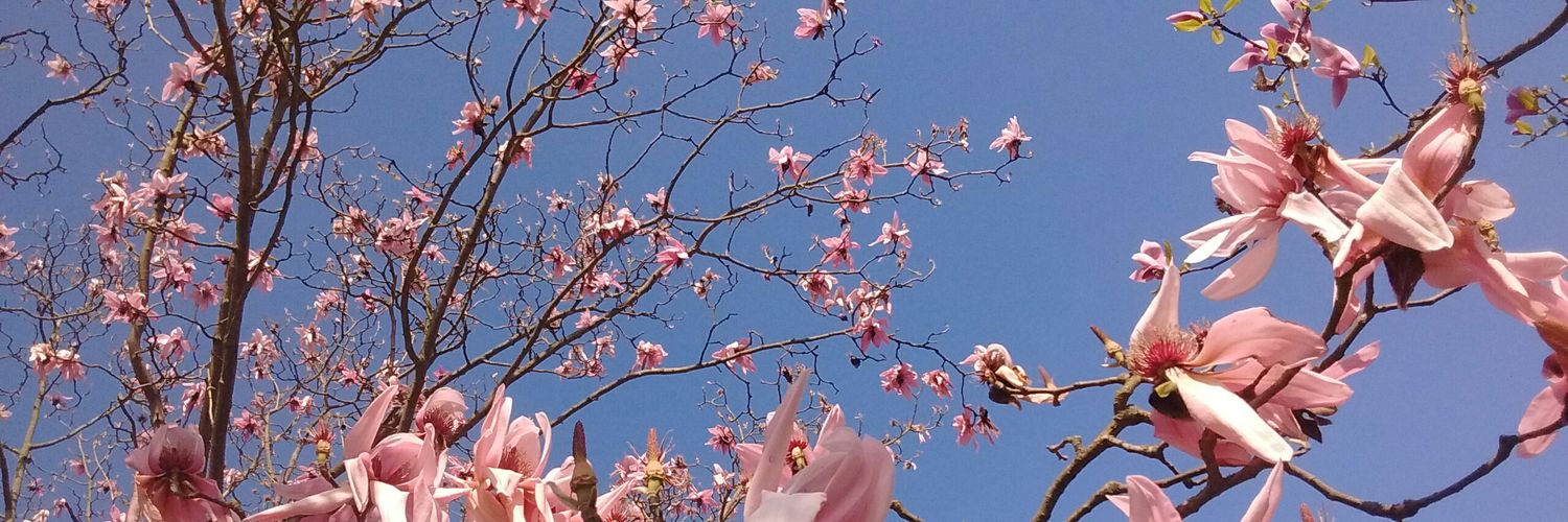Ruth French Baker banner