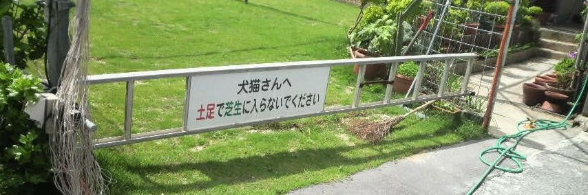 かいちょー banner