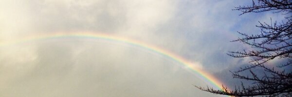 humansystem Profile Banner