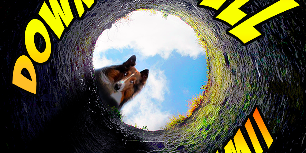DownThe_Well's profile banner image