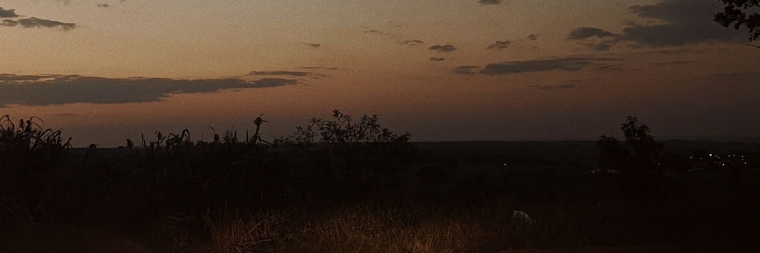 jntsmelo's profile banner image