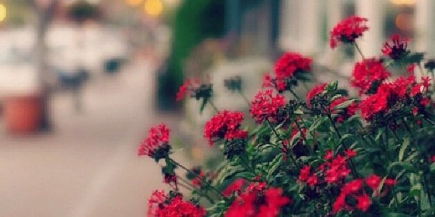 AlWhaib94's profile banner image