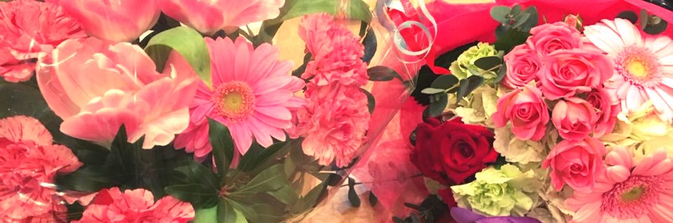 megpoku_ri's profile banner image