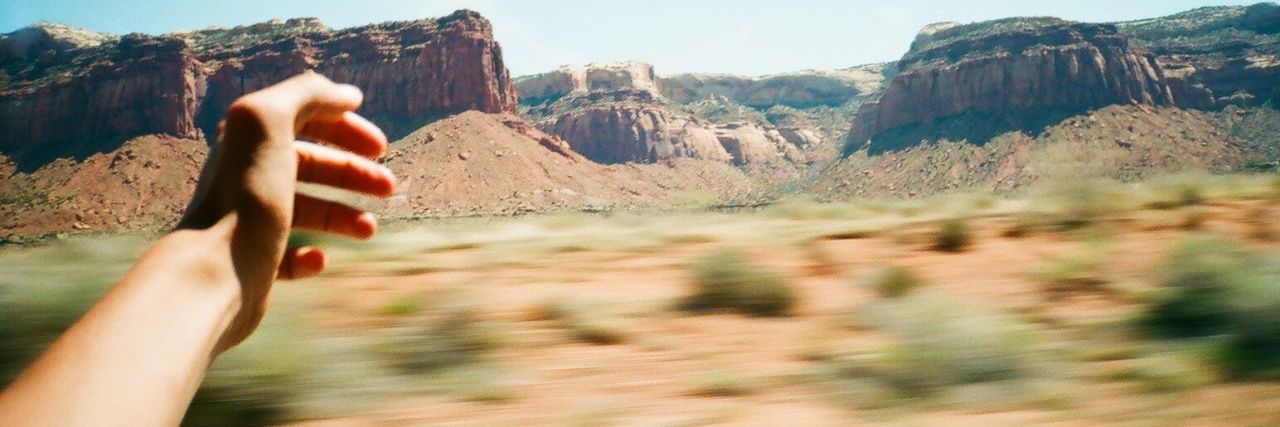 seraflor's profile banner image