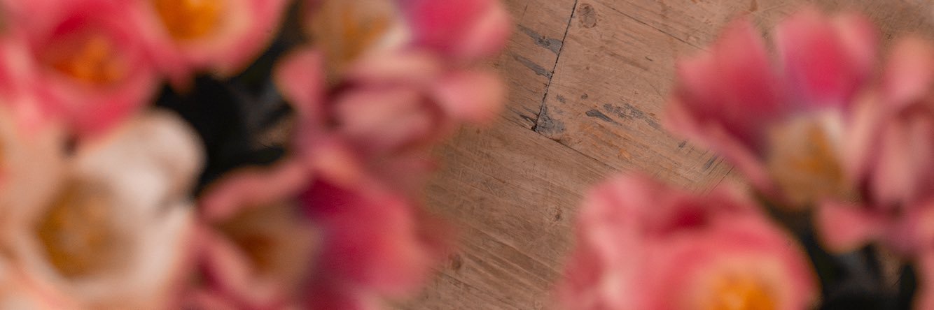 ZhanVasya's profile banner image