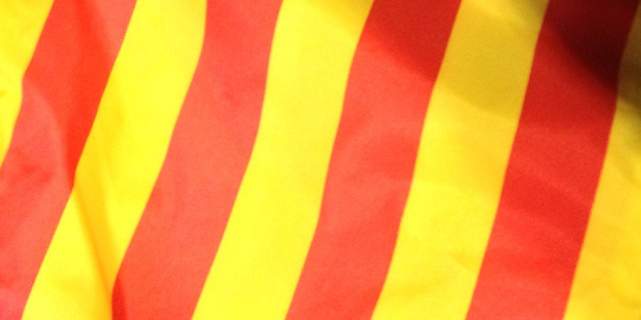 Fundació Procat banner