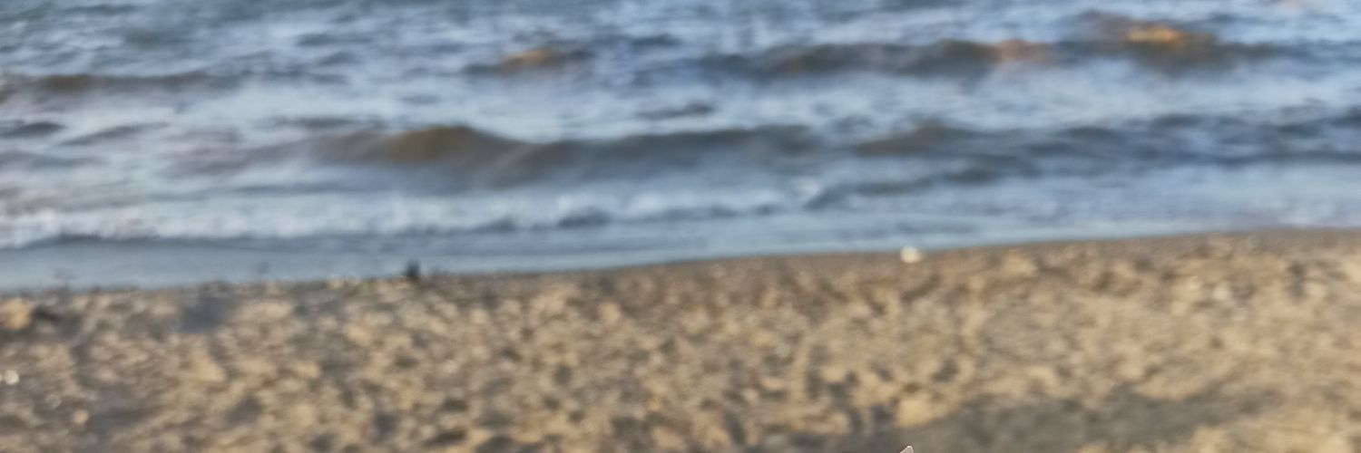 akyol_halime's profile banner image