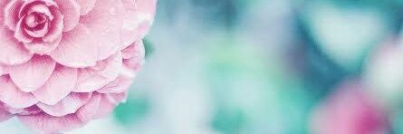 drimacedo's profile banner image
