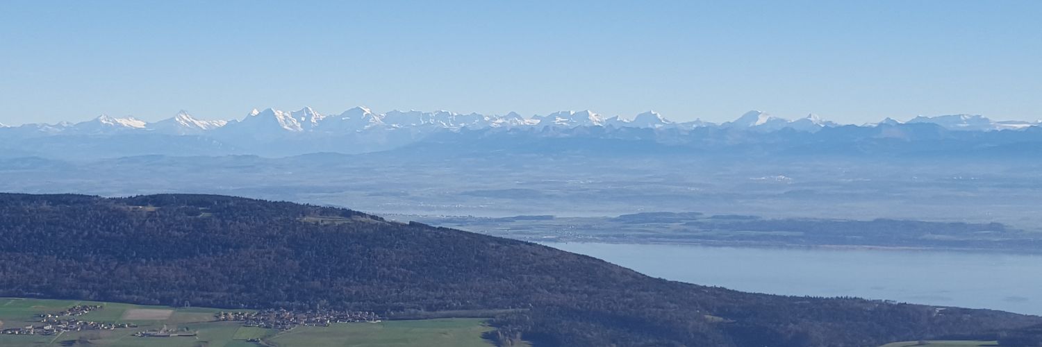 PatrickMatthey's profile banner image