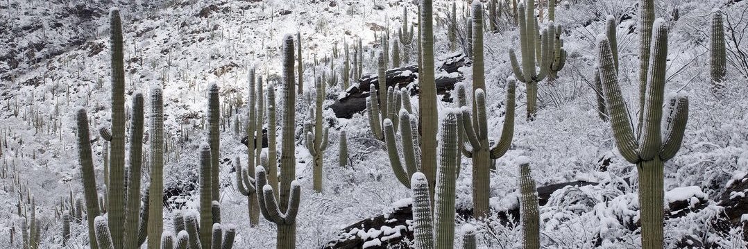 Josh Lien / Fine Art Photographer banner