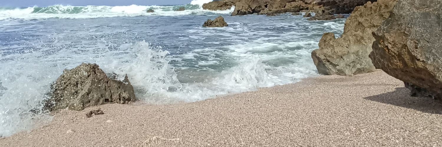 monicaasta's profile banner image