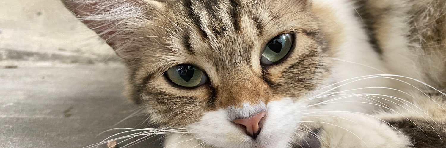 GinamaulidaR's profile banner image