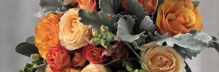 emilyrose796's profile banner image