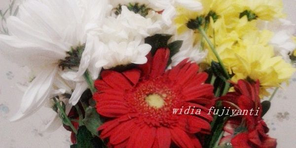 widiaafy's profile banner image
