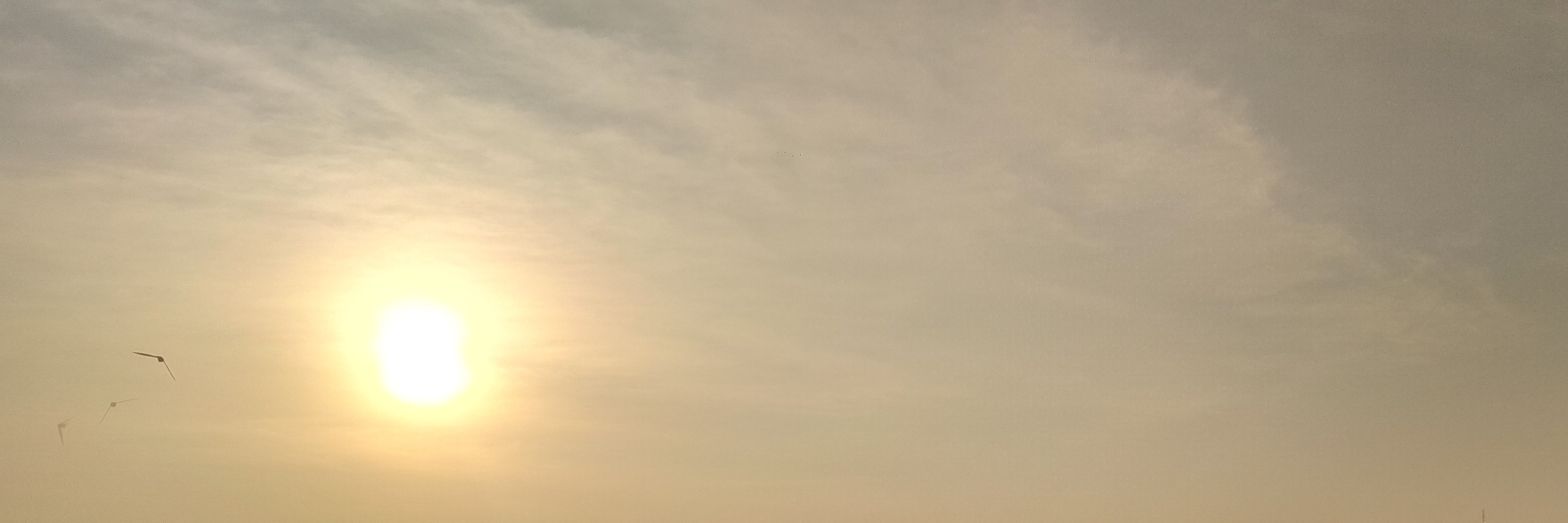 juneli banner