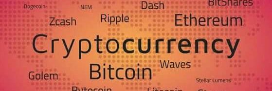 RadichCryptoiz's profile banner image