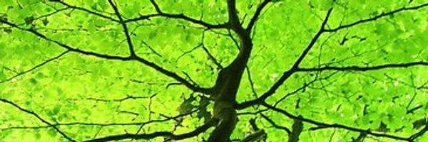 LukaVestergaard Profile Banner