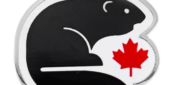 devronk33's profile banner image