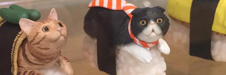 JanelleMeowers's profile banner image