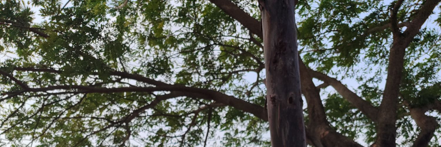 cco0kiesncream's profile banner image