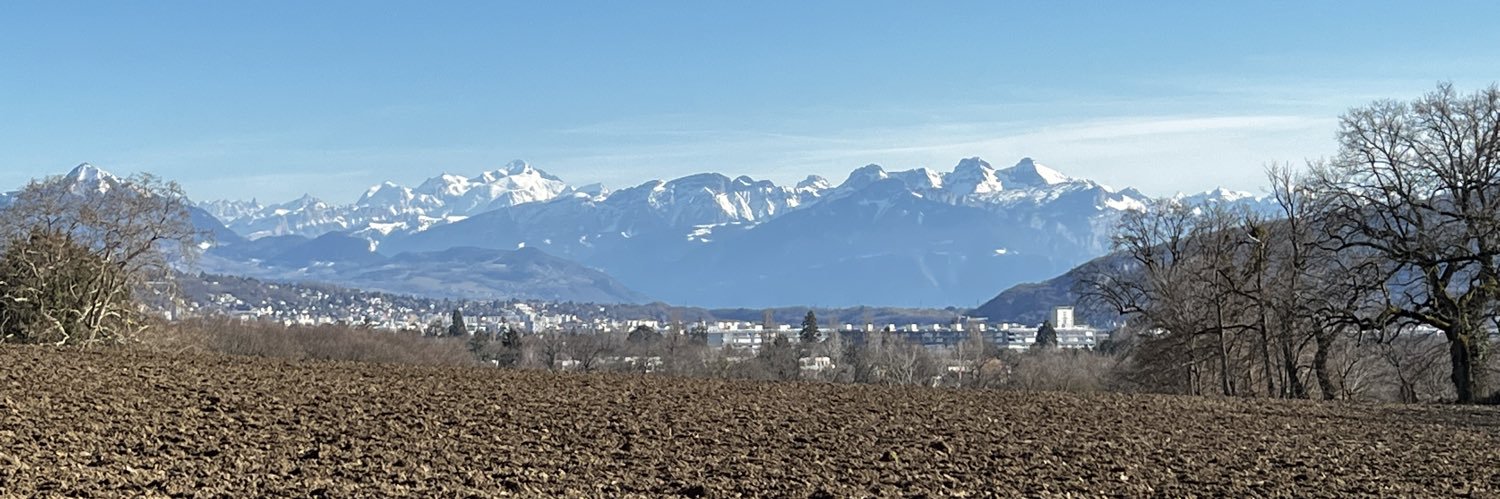 Sofie Maddens banner