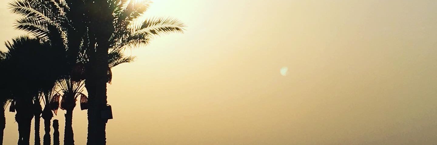 loewenheart88's profile banner image