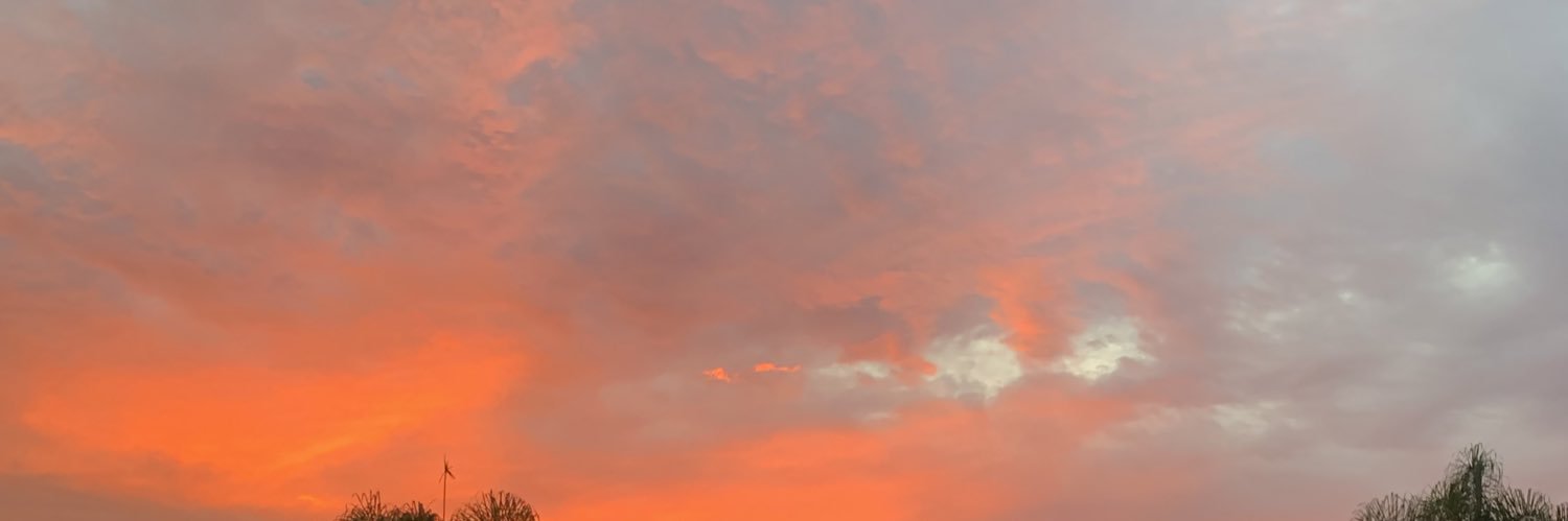 Luana_Mira's profile banner image