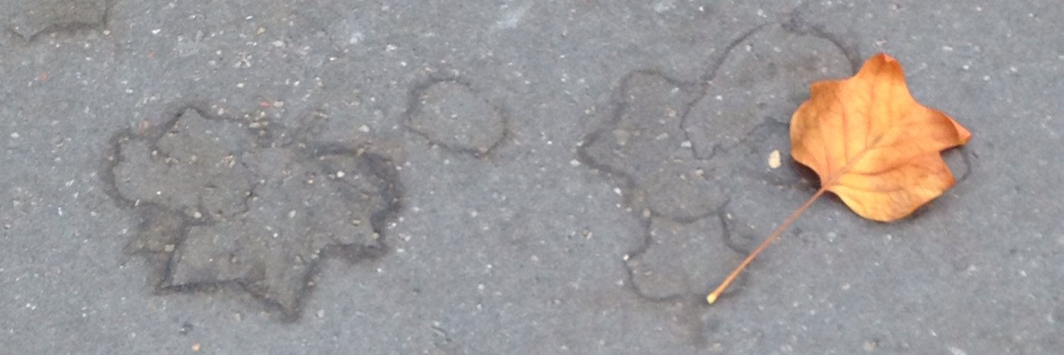 Julie_Marcot's profile banner image