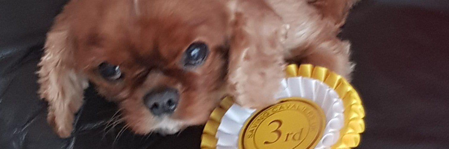 dazfern's profile banner image