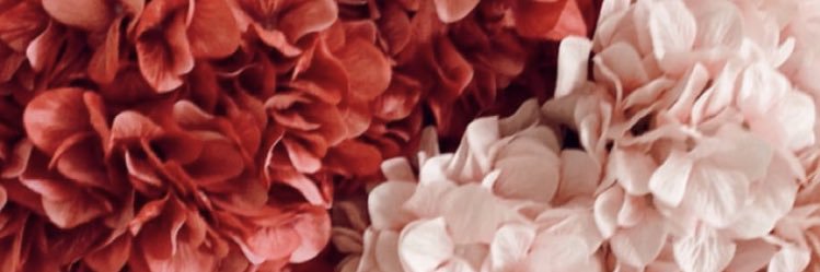 Beeliz's profile banner image
