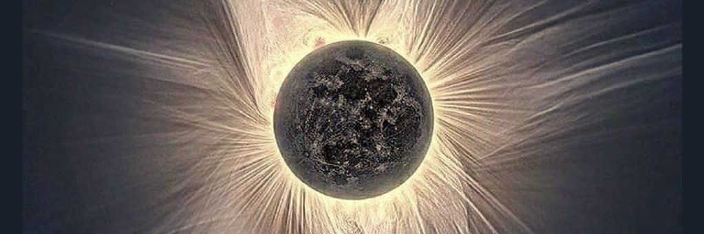 Pam🌻🕊️🌻🌹 banner