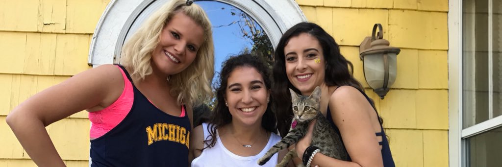 banannie97's profile banner image