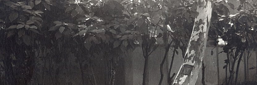 claudiaintatilo's profile banner image