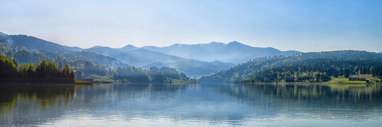 Mandela SH Dixon banner