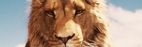 wlsfarms's profile banner image