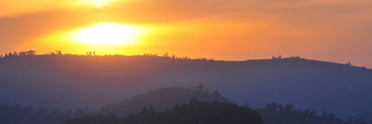 elasuronnie's profile banner image