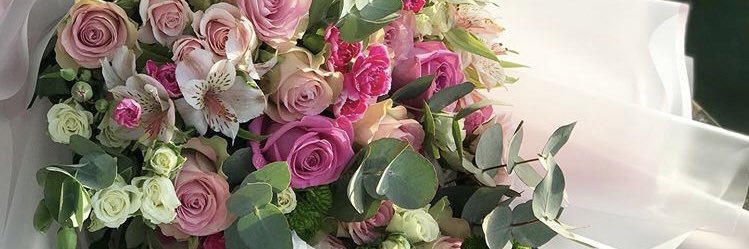 Layla__Omar's profile banner image