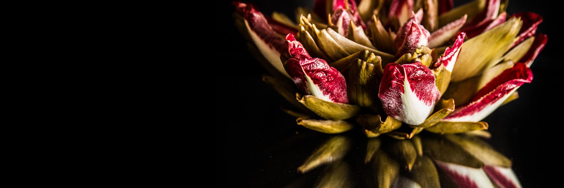 NichonGlerum's profile banner image
